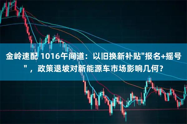 金岭速配 1016午间道:以旧换新补贴"报名+摇号" ,政策退坡对新能源车市场影响几何?