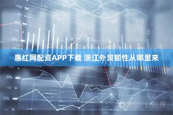 惠红网配资APP下载 浙江外贸韧性从哪里来