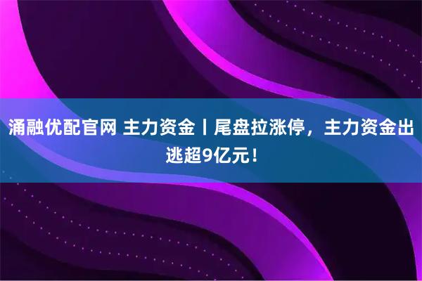 涌融优配官网 主力资金丨尾盘拉涨停，主力资金出逃超9亿元！