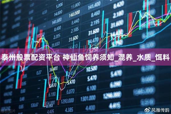 泰州股票配资平台 神仙鱼饲养须知_混养_水质_饵料