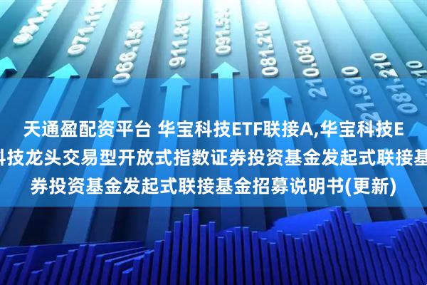 天通盈配资平台 华宝科技ETF联接A,华宝科技ETF联接C: 华宝中证科技龙头交易型开放式指数证券投资基金发起式联接基金招募说明书(更新)