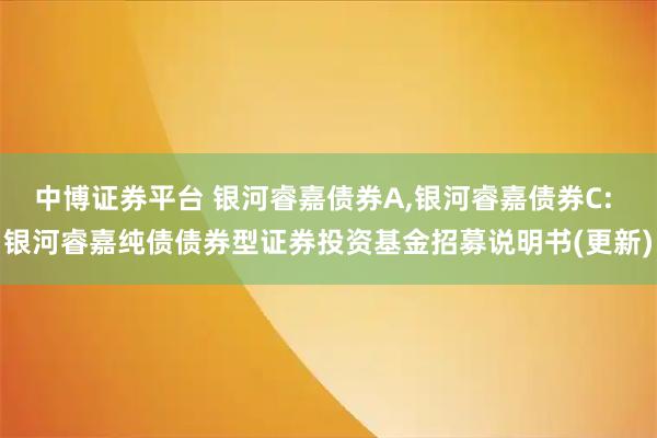 中博证券平台 银河睿嘉债券A,银河睿嘉债券C: 银河睿嘉纯债债券型证券投资基金招募说明书(更新)