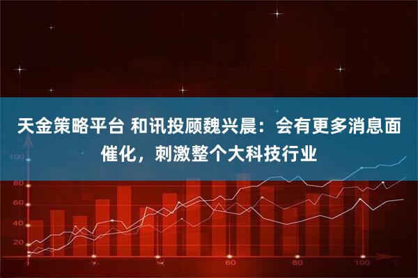 天金策略平台 和讯投顾魏兴晨：会有更多消息面催化，刺激整个大科技行业