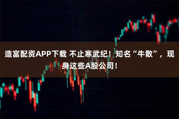 造富配资APP下载 不止寒武纪！知名“牛散”，现身这些A股公司！